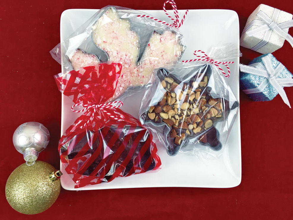 Cookie Cutter Fudge CANDIQUIK